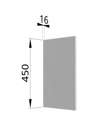 Панель торцевая (для шкафа горизонтального высокого) ВПГ Ройс (Графит софт) в Кодинске - kodinsk.mebel54.com | фото